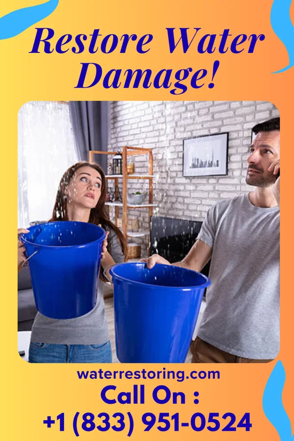 water restoration Capital Water Cleanup Professionals Falcon Heights