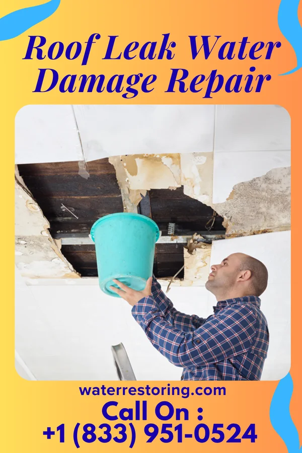 Roof Leak Water Damage Repair in Falcon Heights, OR